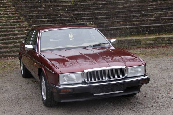 Jaguar XJ40 & XJ81