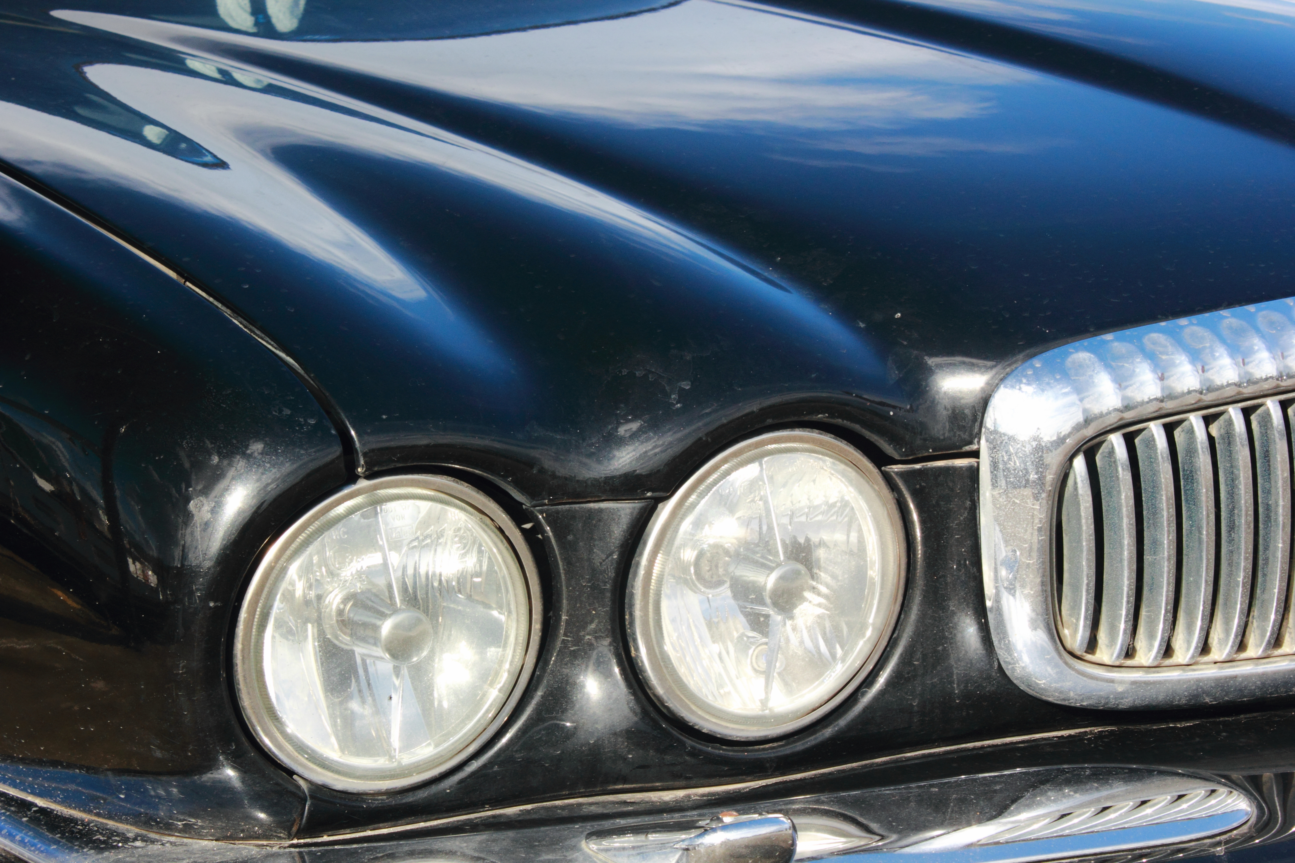 Foto vom schwarzen Jaguar