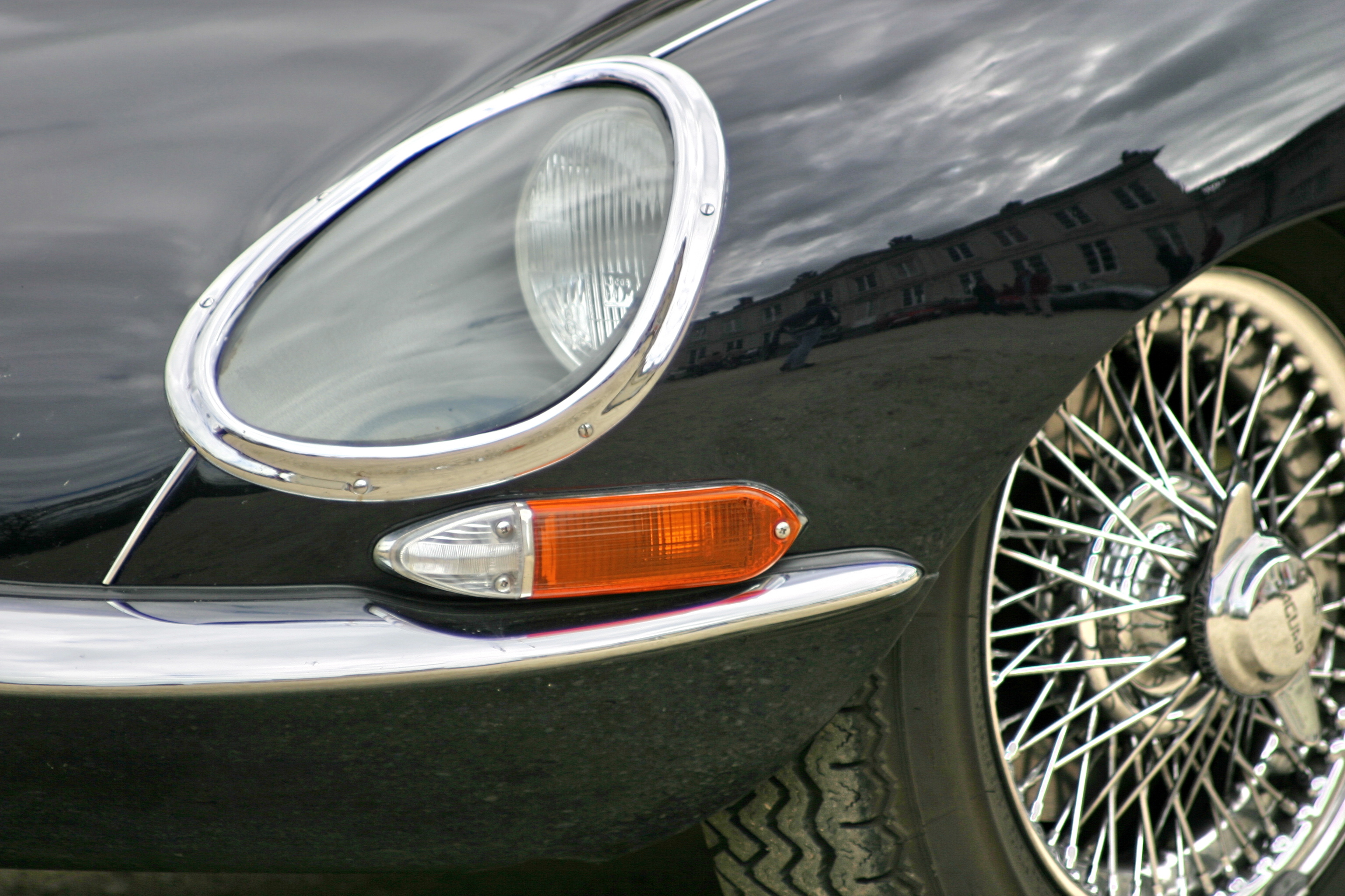 Foto eines schwarzen Jaguars